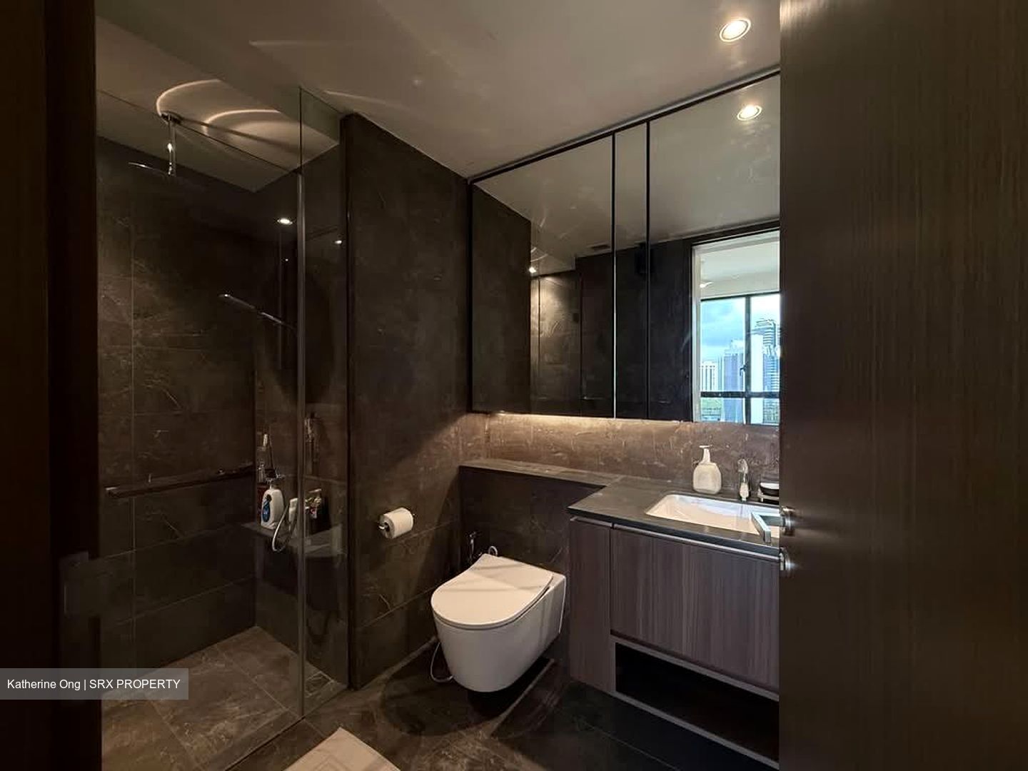 Kopar At Newton (D9), Apartment #566160291